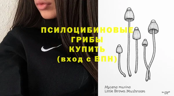круглые Алексин