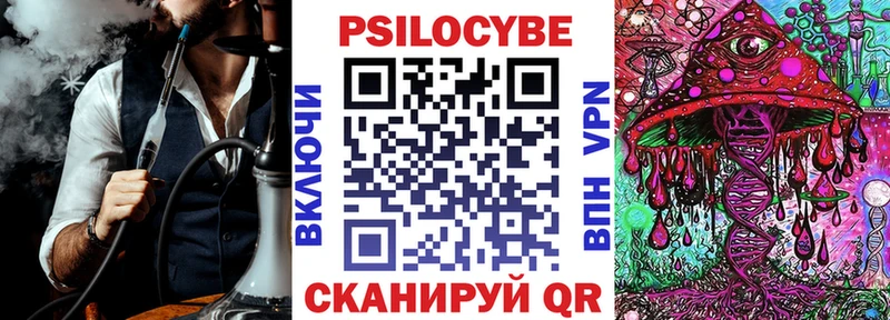 Псилоцибиновые грибы Psilocybe  Тосно 